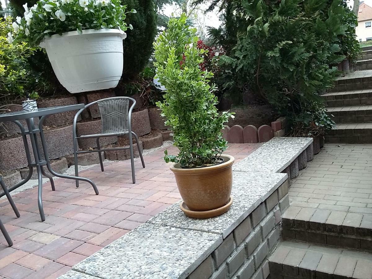 An Den Linden 31 Apartment Leipzig Ngoại thất bức ảnh